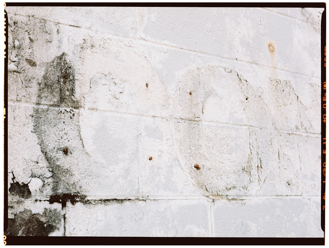 Basement Water Removal service in Troy, MI